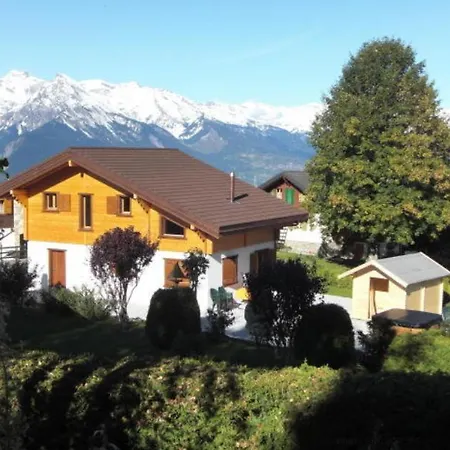 Griffon Chalet Nendaz