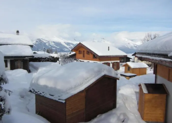Griffon Chalet Nendaz
